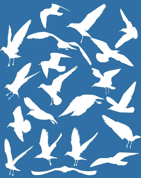 Conjunto de vinte gaivota silhuetas brancas — Vetor de Stock