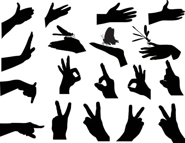 Jeu de huit mains isolées sur blanc — Image vectorielle