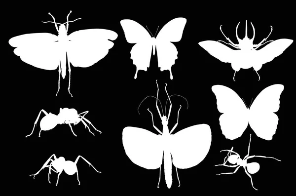 Eight isolated white insects — Stock Vector