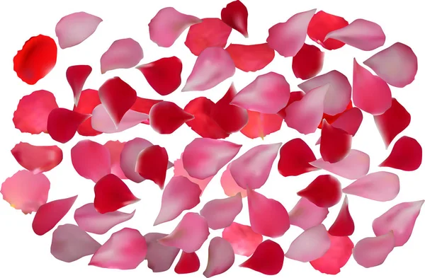 Red and pink rose petals isolated on white — Stock Vector