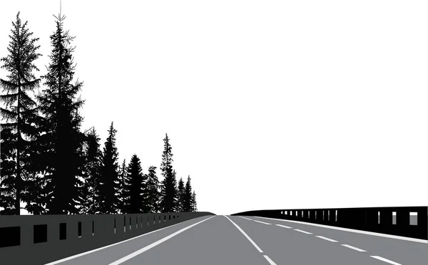 Empty road with firs on roadside — Stock Vector