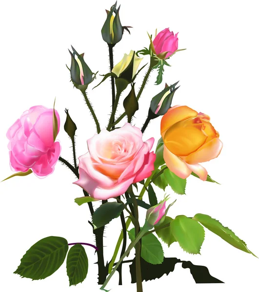 一束黄色和粉红色的孤立玫瑰 — 图库矢量图片