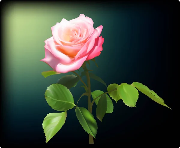 Рожева квітка троянди з зеленим листям на темному фоні — стоковий вектор
