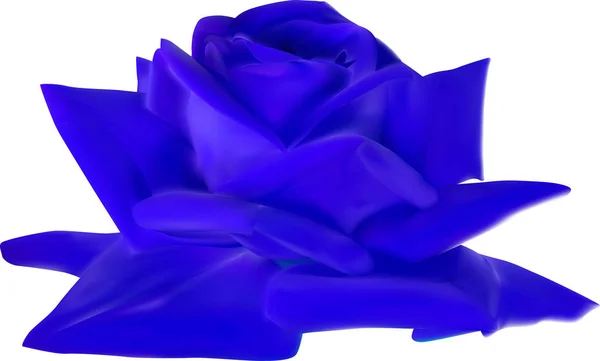 Rosa azul flor isolada no branco —  Vetores de Stock