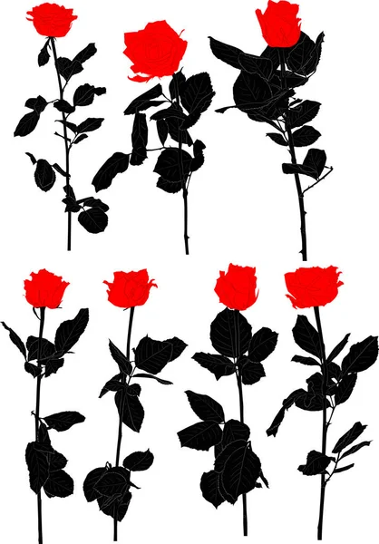 Sete flores vermelhas e pretas de rosas isoladas em branco — Vetor de Stock