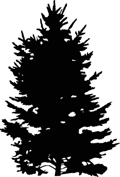 Sapin noir silhouette isolée illustration — Image vectorielle