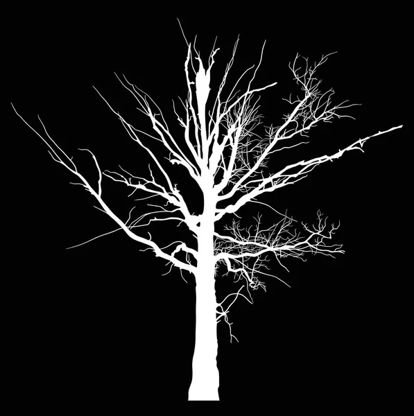 Silueta de árbol grande muerta blanca en negro — Archivo Imágenes Vectoriales