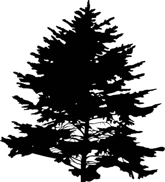 Sapin noir isolésilhouette unique illustration — Image vectorielle