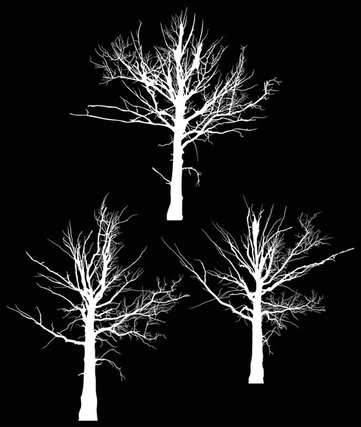 Tre vita döda stort träd siluetter på svart — Stock vektor
