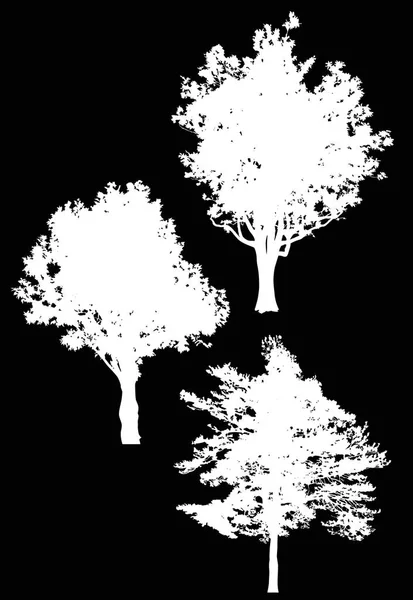 Trois grandes silhouettes isolées d'arbres blancs — Image vectorielle