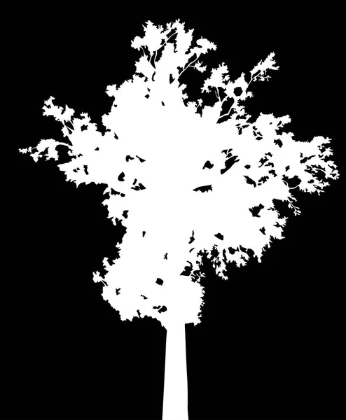 Hoge white oak tree-silhouet op zwart — Stockvector