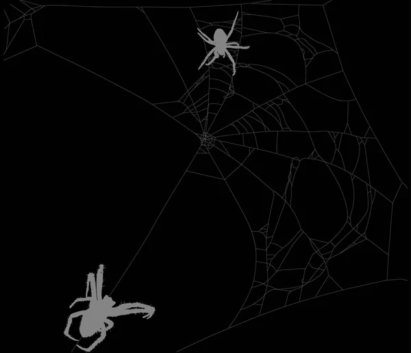 Dos arañas en la vieja tela gris — Archivo Imágenes Vectoriales