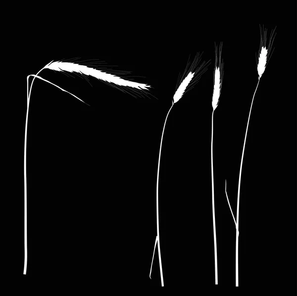 Vier witte oor silhouetten op zwart — Stockvector