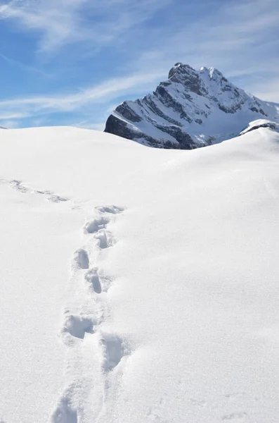 Footprints in the snow in mountains — Stock Photo, Image