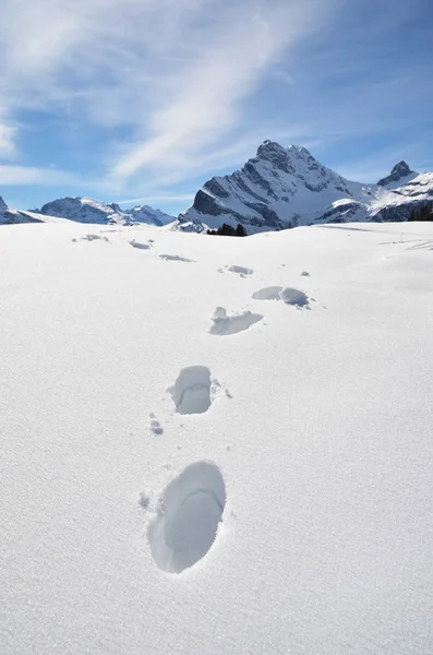 Pegadas na neve nas montanhas — Fotografia de Stock