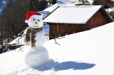 sneeuwpop tegen Alpenpanorama