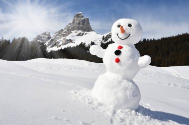 sneeuwpop tegen Alpenpanorama