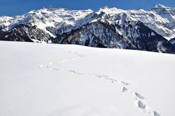 Fußabdrücke im Schnee in den Bergen — Stockfoto