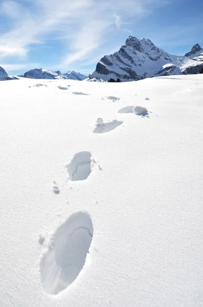 Huellas en la nieve en las montañas —  Fotos de Stock