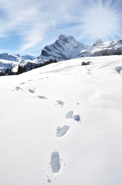 Pegadas na neve nas montanhas — Fotografia de Stock