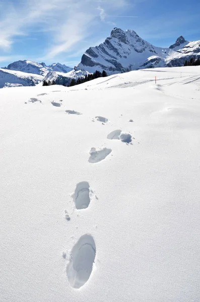 Footprints in the snow in mountains — Stock Photo, Image