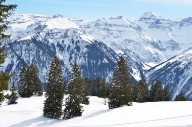 Güzel dağ manzarası