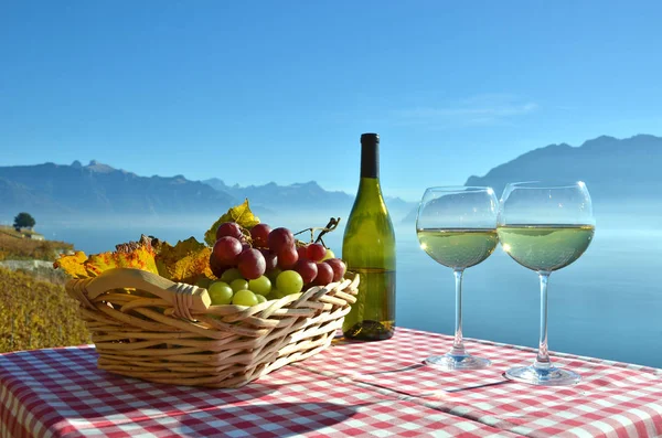 Wine and grapes against lake — Stock Photo, Image