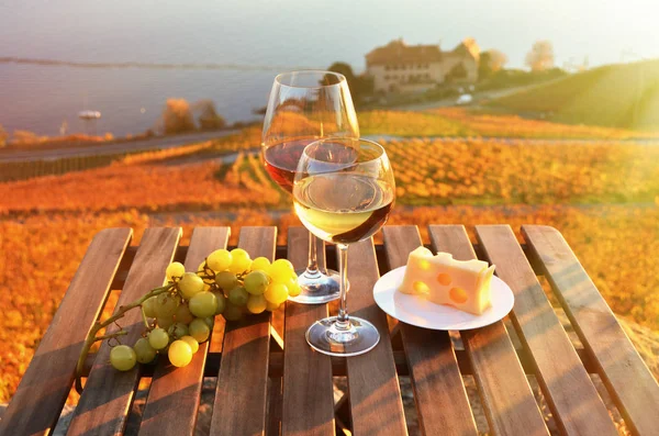 Vino y uvas contra el lago — Foto de Stock