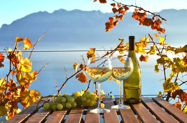 Вино и виноград против озера — стоковое фото