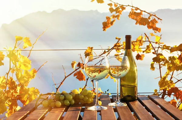 Wine and grapes against lake — Stock Photo, Image