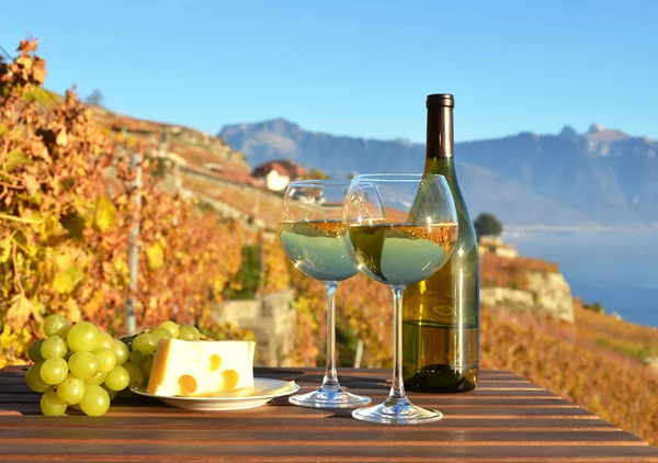 Wine and grapes against lake — Stock Photo, Image
