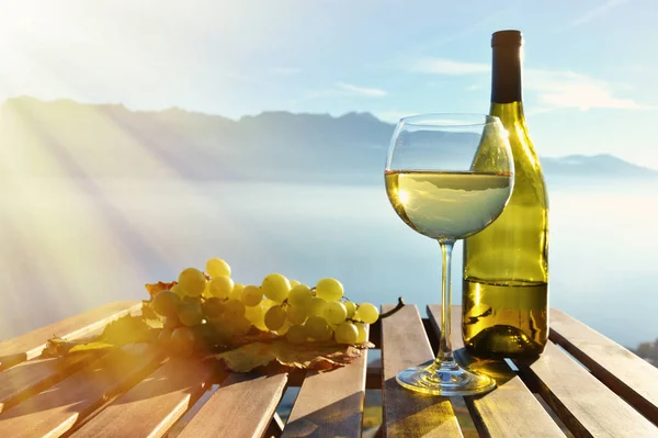 Vino y uvas contra el lago —  Fotos de Stock