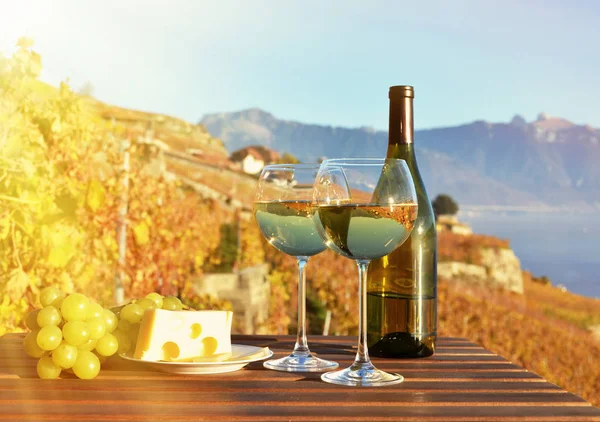 Wine and grapes against lake — Stock Photo, Image