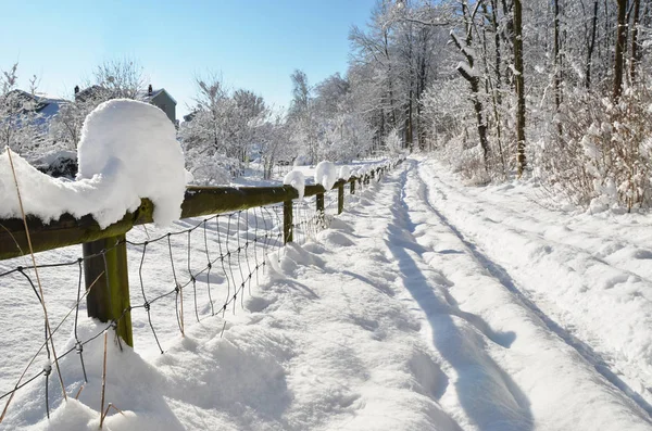 Bellissimo paesaggio della natura invernale — Foto Stock