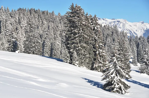 Winter nature of Braunwald — Stock Photo, Image