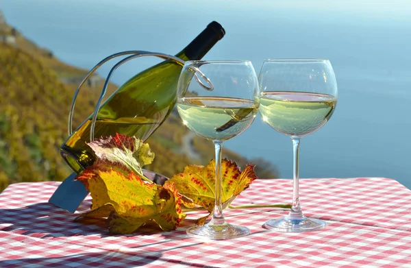 Вино в бокалах против Женевского озера — стоковое фото