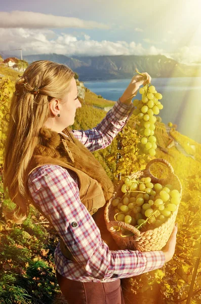 Mujer con cesta llena de uvas — Foto de Stock