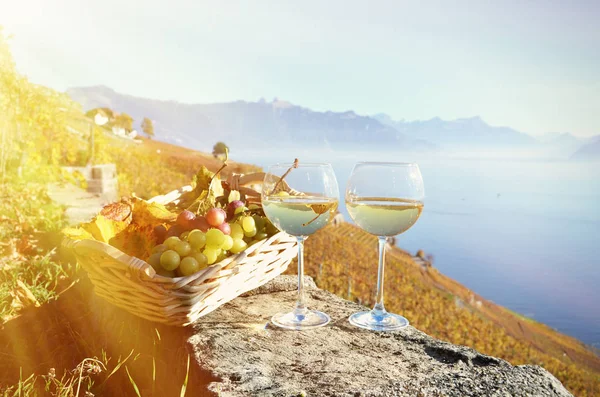 Wine and grapes against Geneva lake — Stock Photo, Image