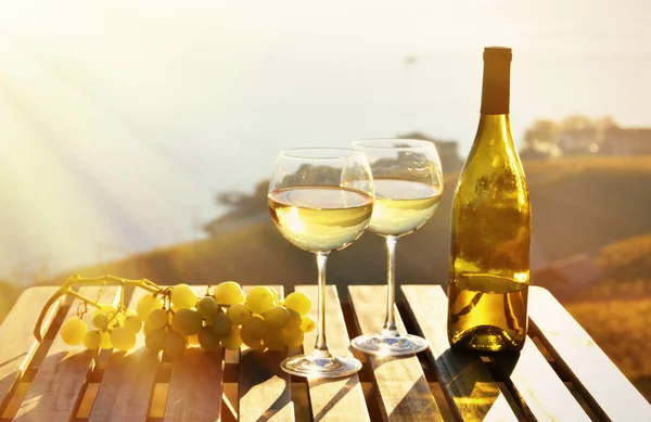 Вино и виноград против Женевского озера — стоковое фото