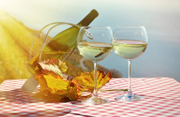 Vinho em copos contra o lago Genebra — Fotografia de Stock