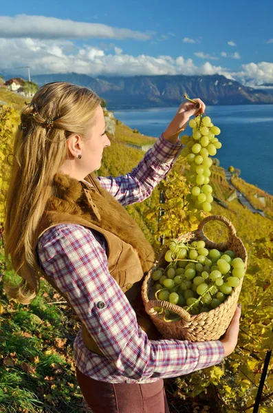 Donna con cesto pieno d'uva — Foto Stock