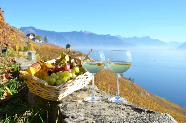 Wein und Trauben gegen den Genfer See — Stockfoto