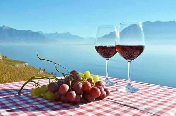 Vinho e uvas contra o lago de Genebra — Fotografia de Stock