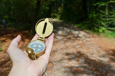 Erkek el holding pusula doğa üzerinde