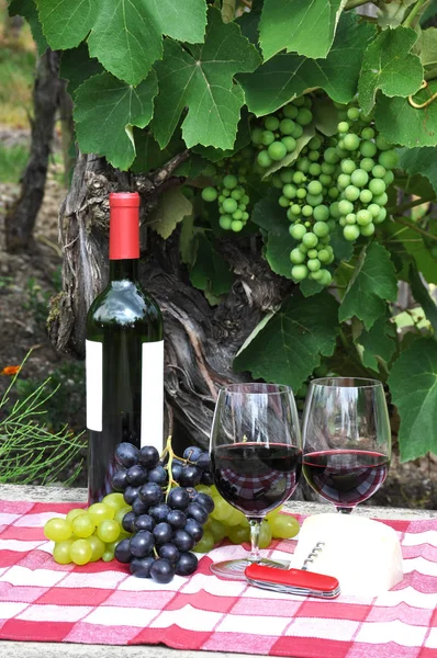 Vino tinto y uvas servidas en el picnic — Foto de Stock