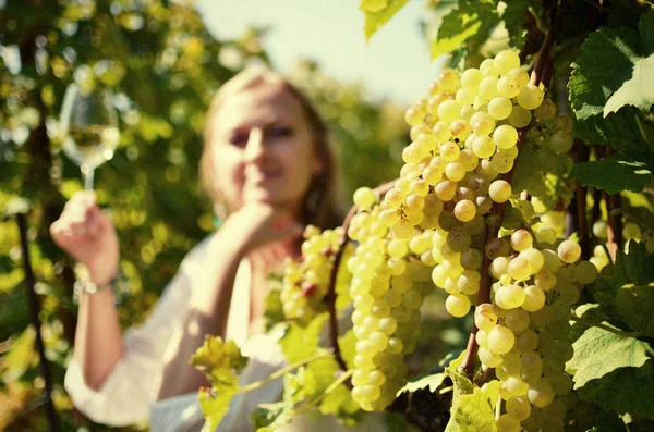 Mädchen verkostet Weißwein inmitten von Weinbergen. — Stockfoto