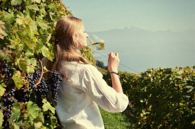 Üzüm bağları arasında beyaz şarap tatma kız. 