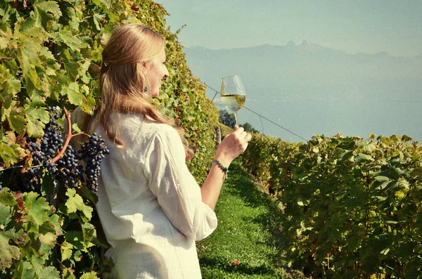 品尝白葡萄酒在葡萄园中的女孩. — 图库照片