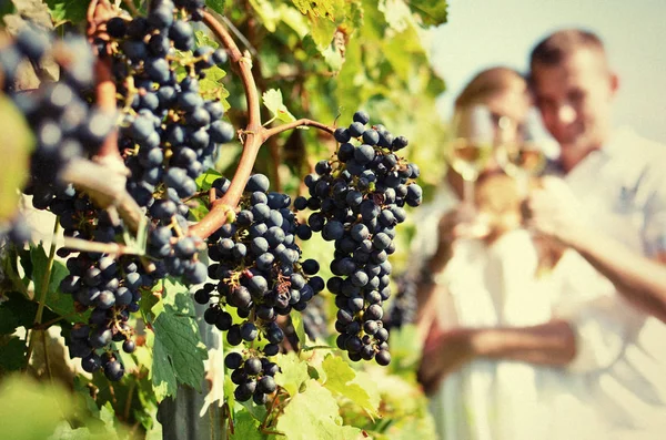 Paar mit Brille in Lavaux — Stockfoto