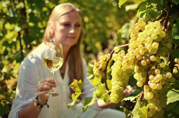 Mädchen verkostet Weißwein inmitten von Weinbergen. — Stockfoto